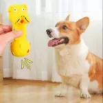 Durable Squeaky Barbell Dog Chew Toy for Interactive Play & Teeth Cleaning