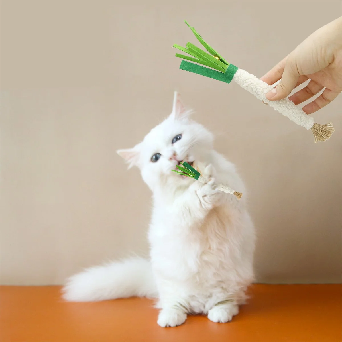 Eco-Friendly Silvervine Cat Chew Toy – Interactive Mint Pillow with Jute Rope