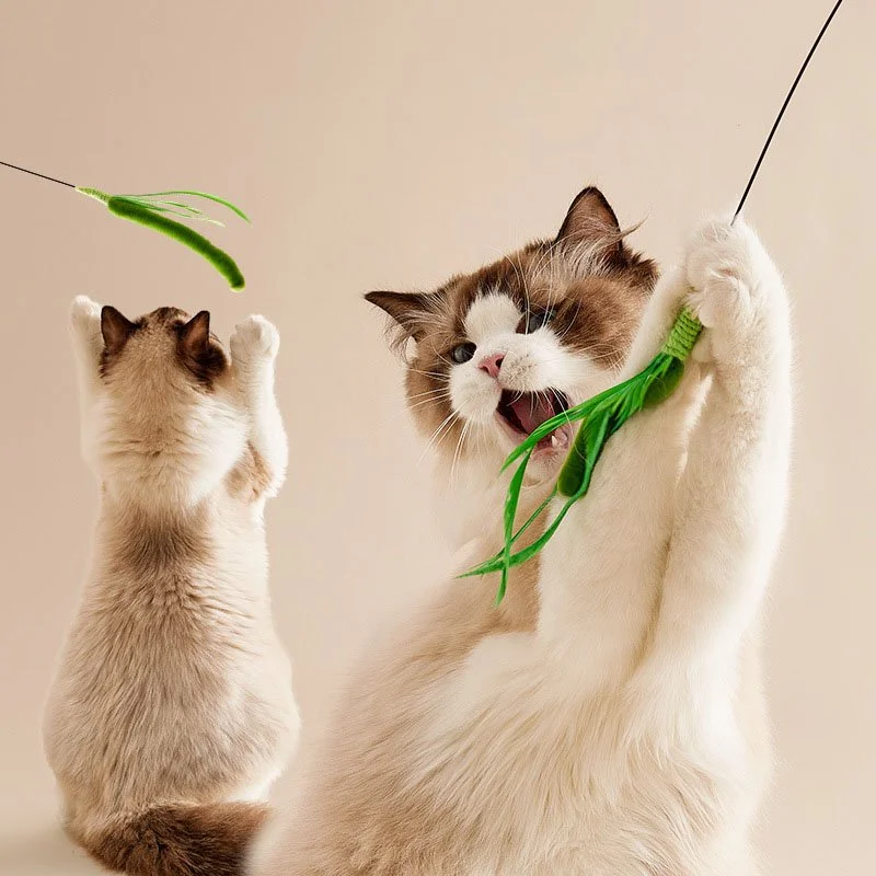 Flexible Extra Long Cat Feather Teaser Stick for Endless Fun