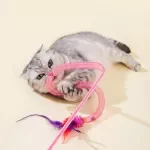 Interactive Feather Wand Cat Toy Set